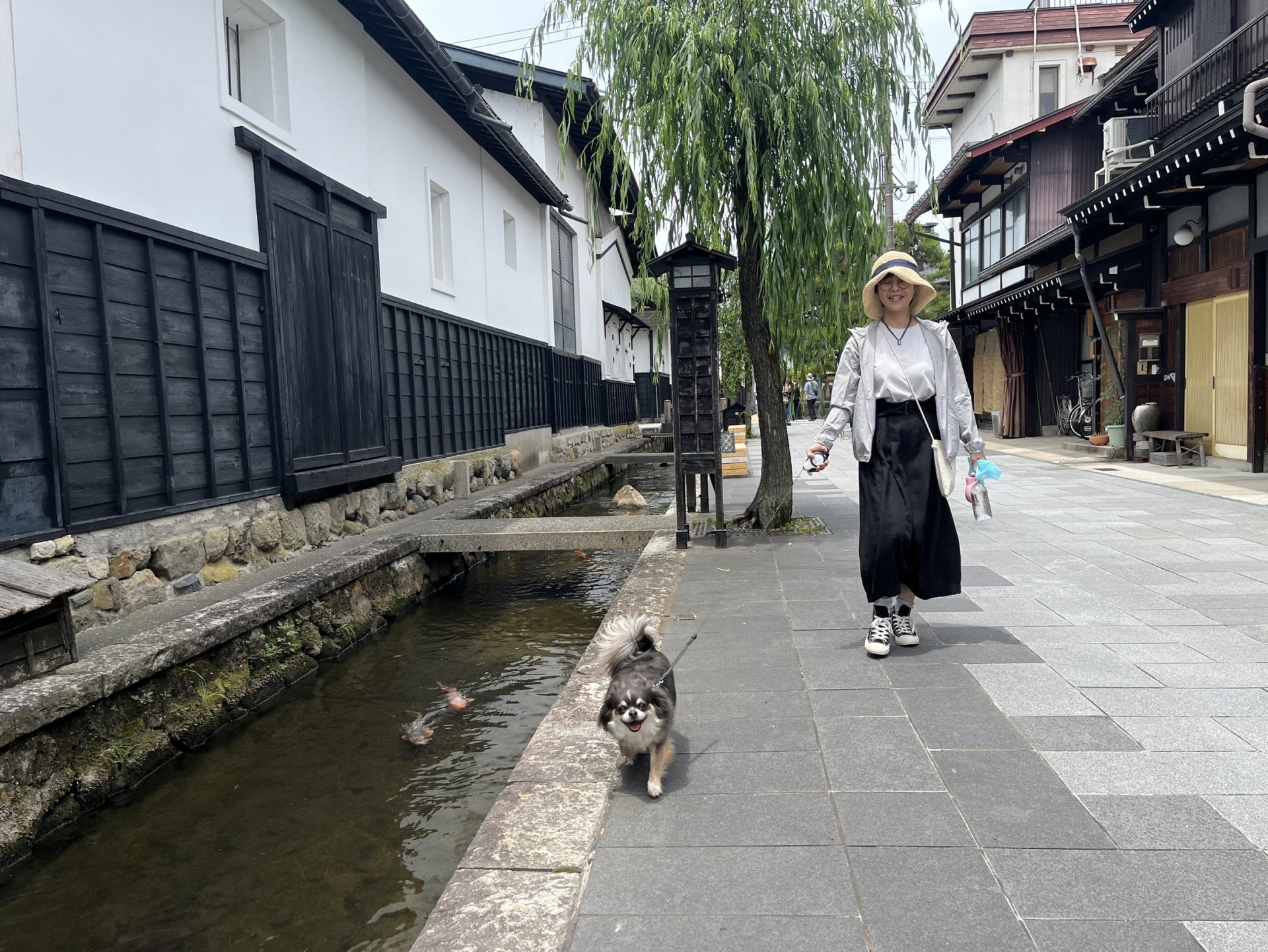 ペットと一緒に旅行しよう！飛騨・高山のおすすめスポット